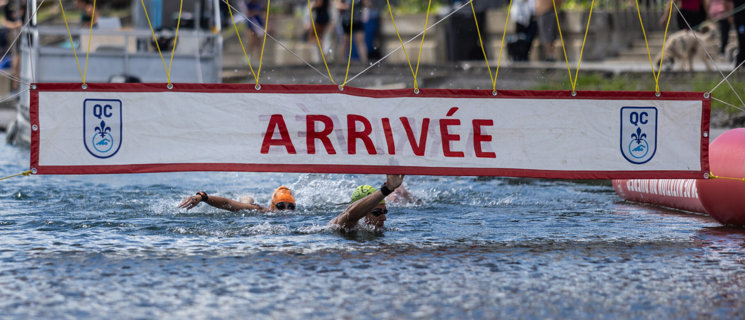 Le Festival canadien d’eau libre débarque à Montréal : un événement ouvert à toutes et tous