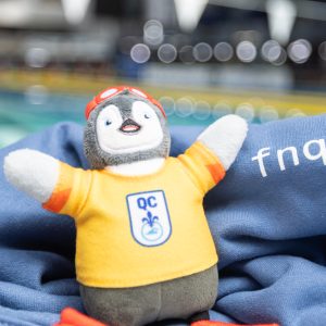 Compétition de natation