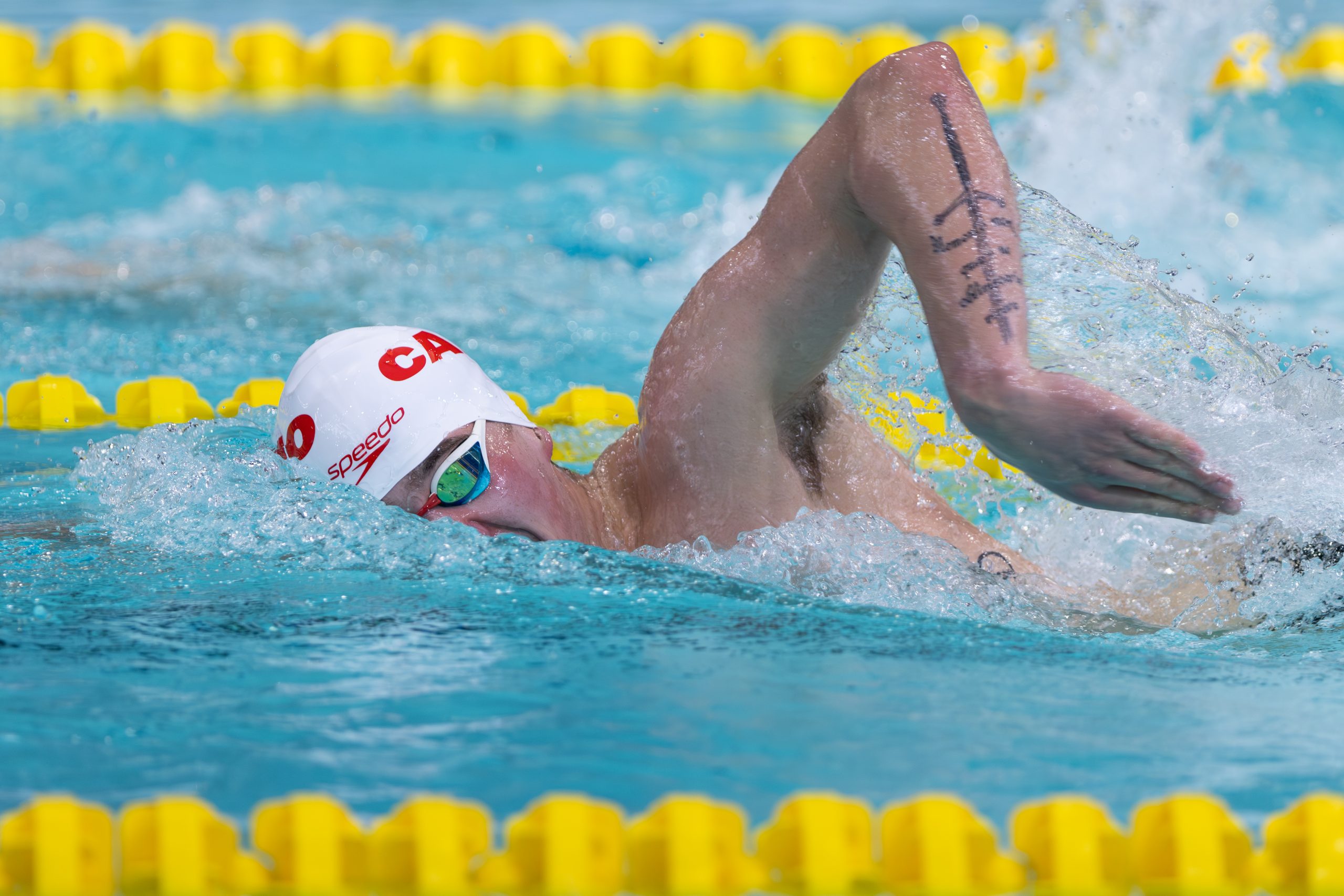 Compétition de natation